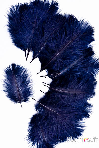 Autruche Bellies - 8-13 cm - bleu nuit-noir